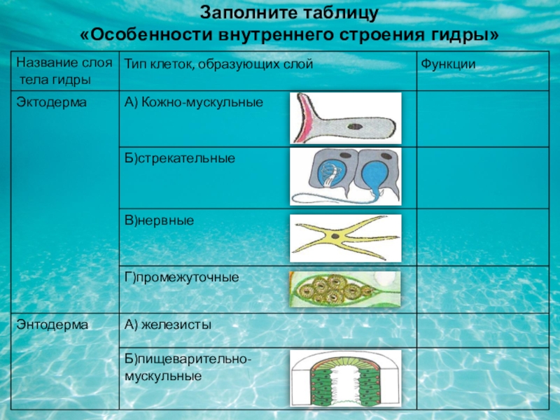 Кракен лучший маркетплейс